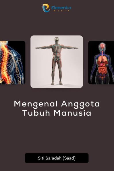 Mengenal Anggota Tubuh Manusia